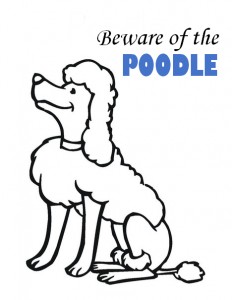 Poodle ssl 3.0 beware