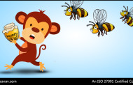Did You Know What is HoneyMonkey?