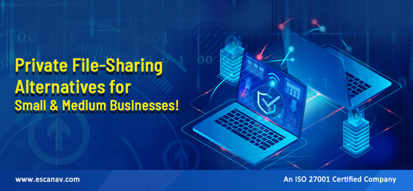 Private File-Sharing Alternatives for Small & Medium Businesses!