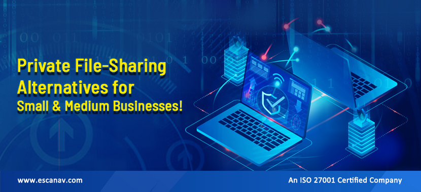 Private File-Sharing Alternatives for Small & Medium Businesses!